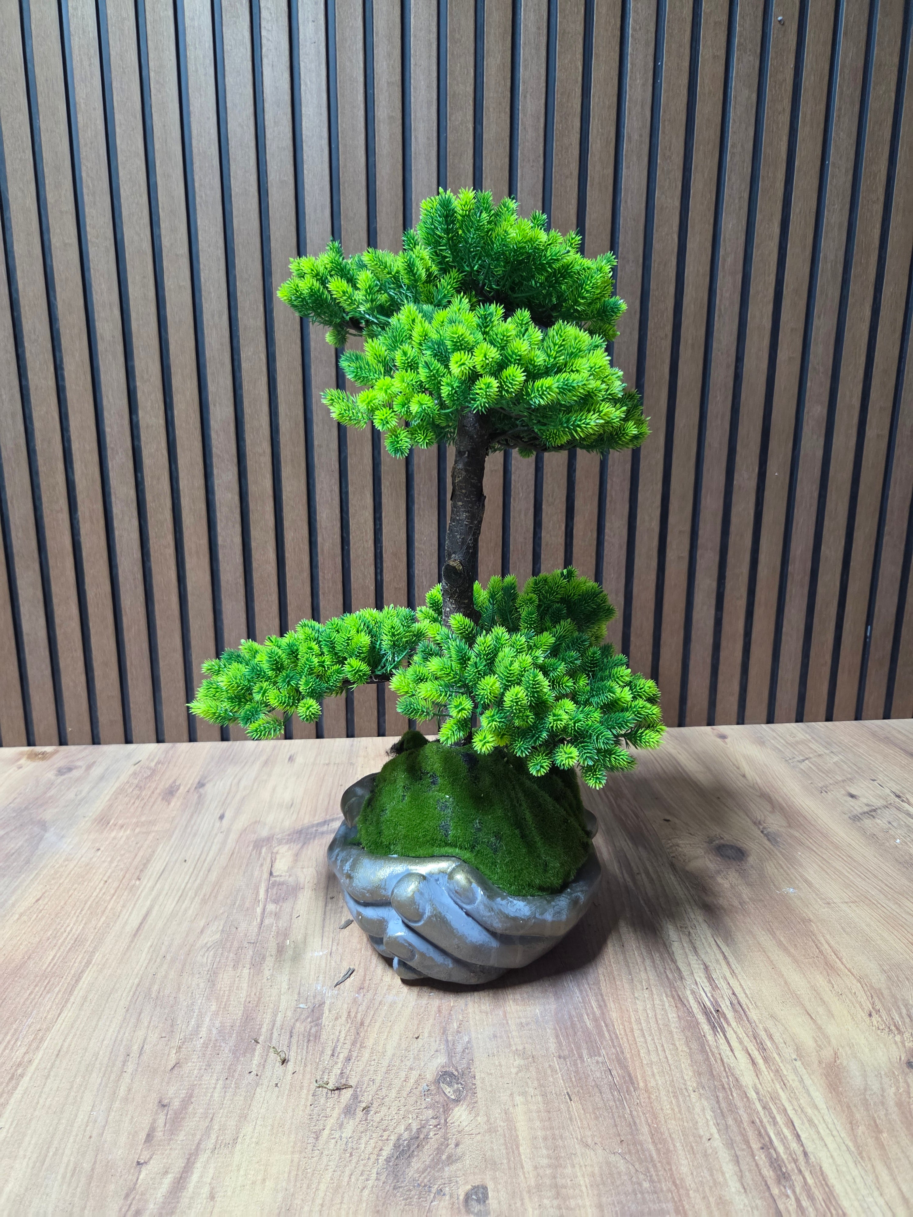 Emerald Wave Bonsai