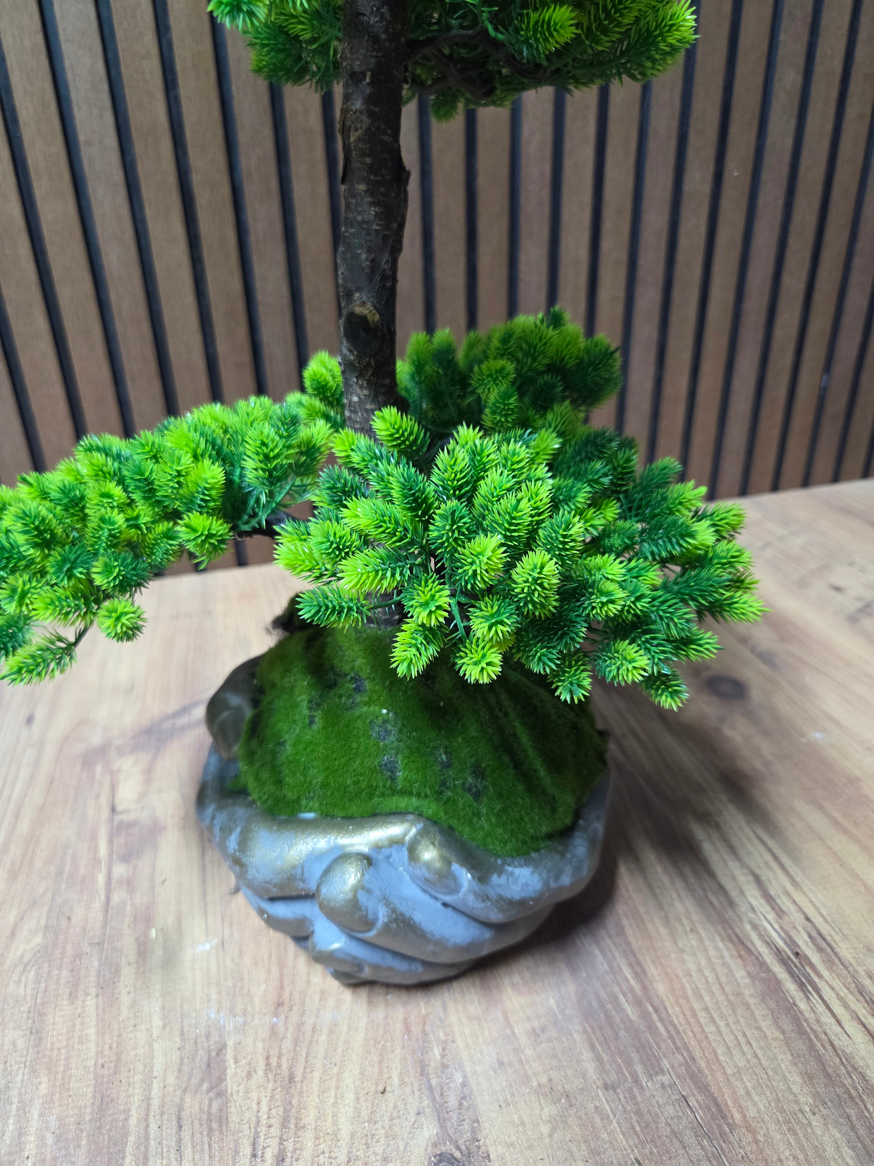 Emerald Wave Bonsai