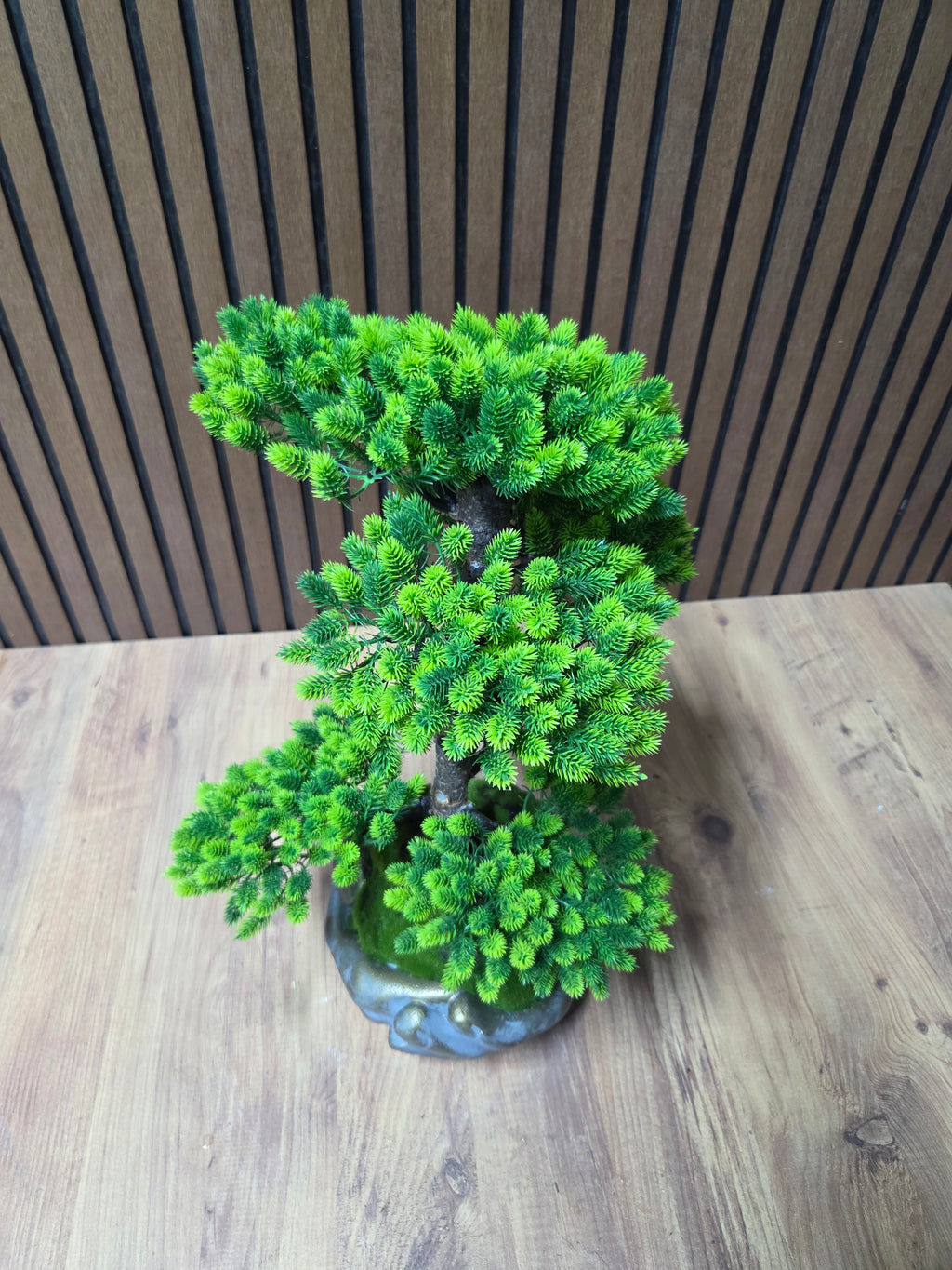 Emerald Wave Bonsai