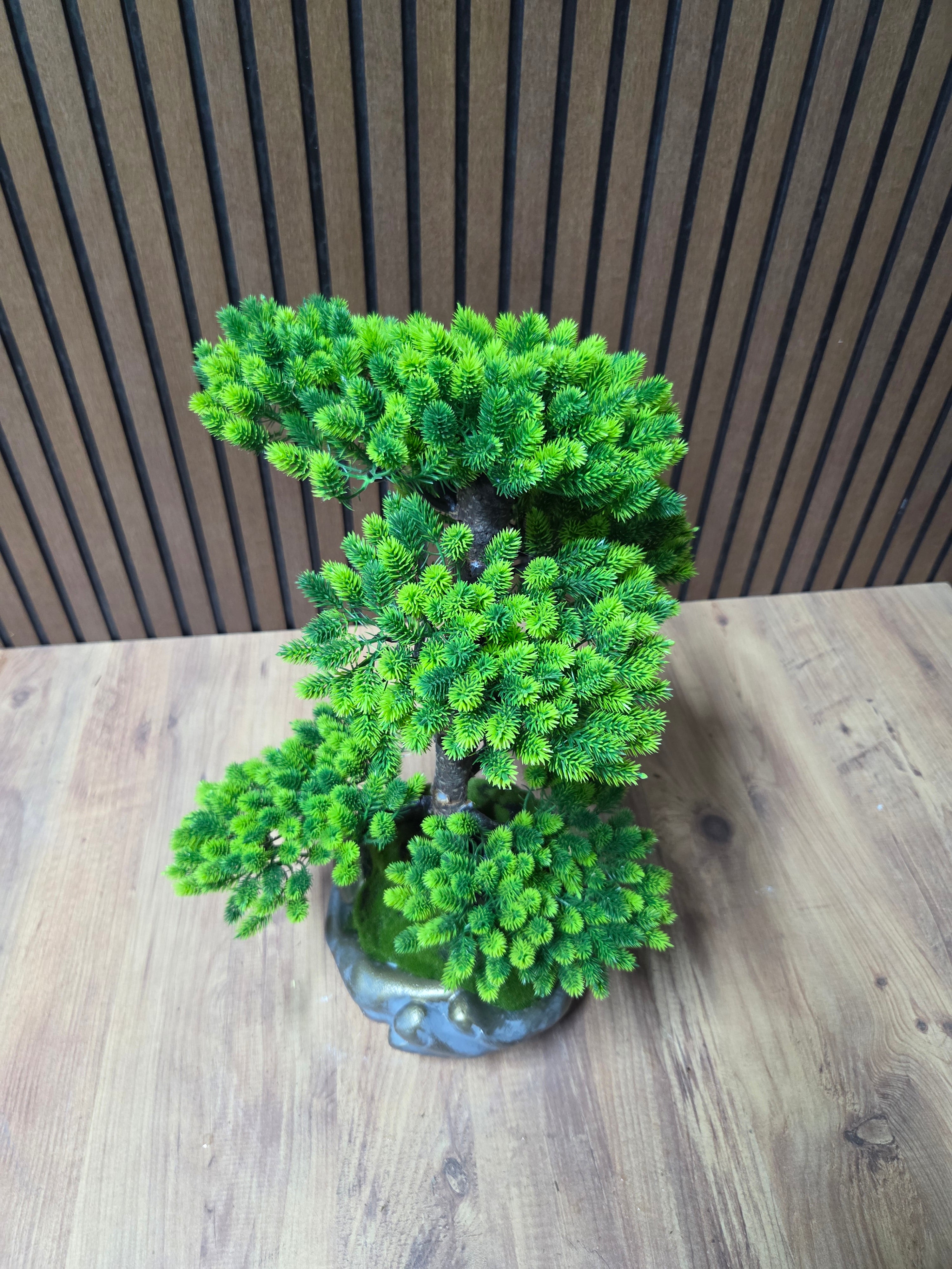 Emerald Wave Bonsai