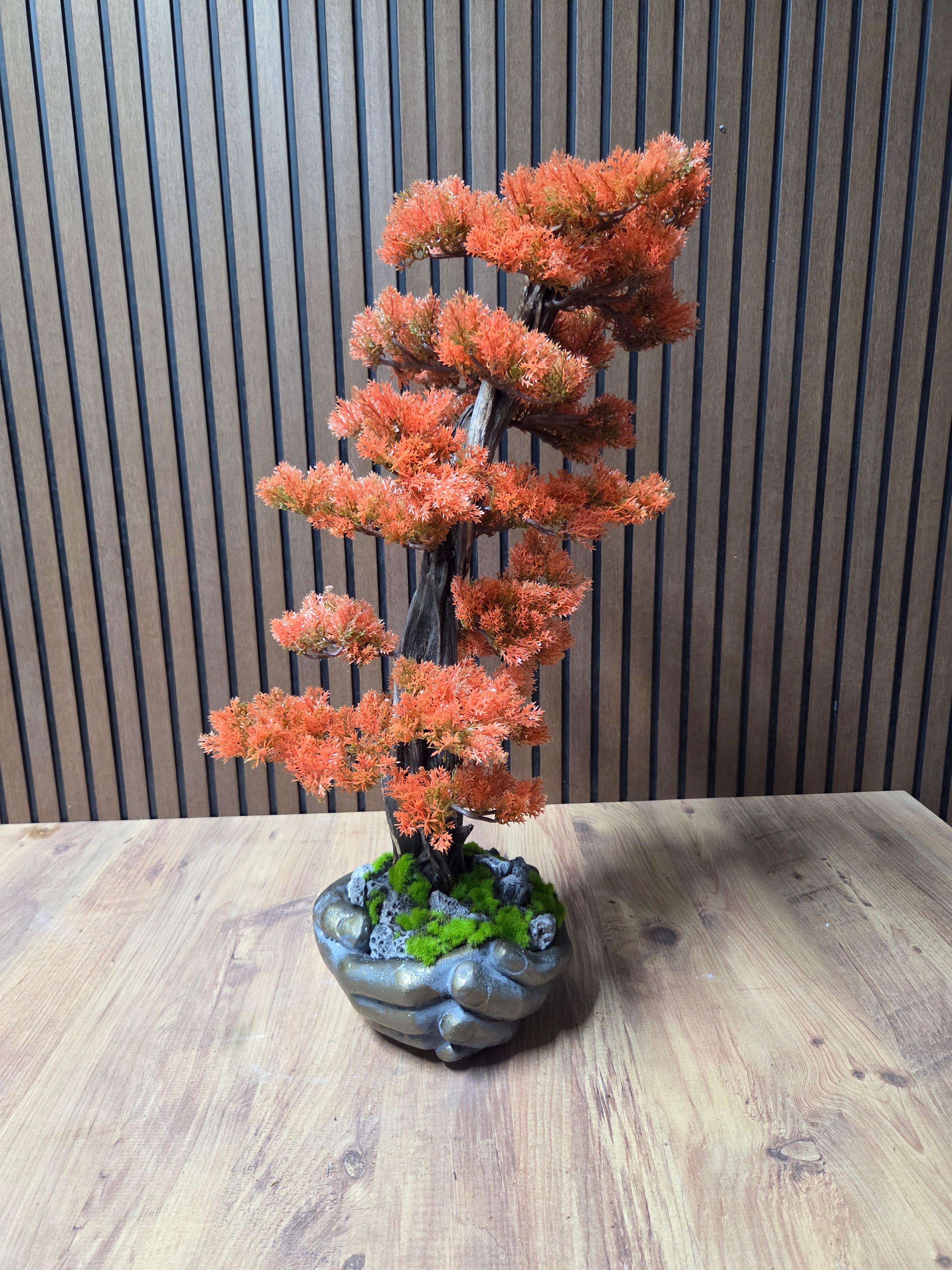 Autumn Grace Bonsai