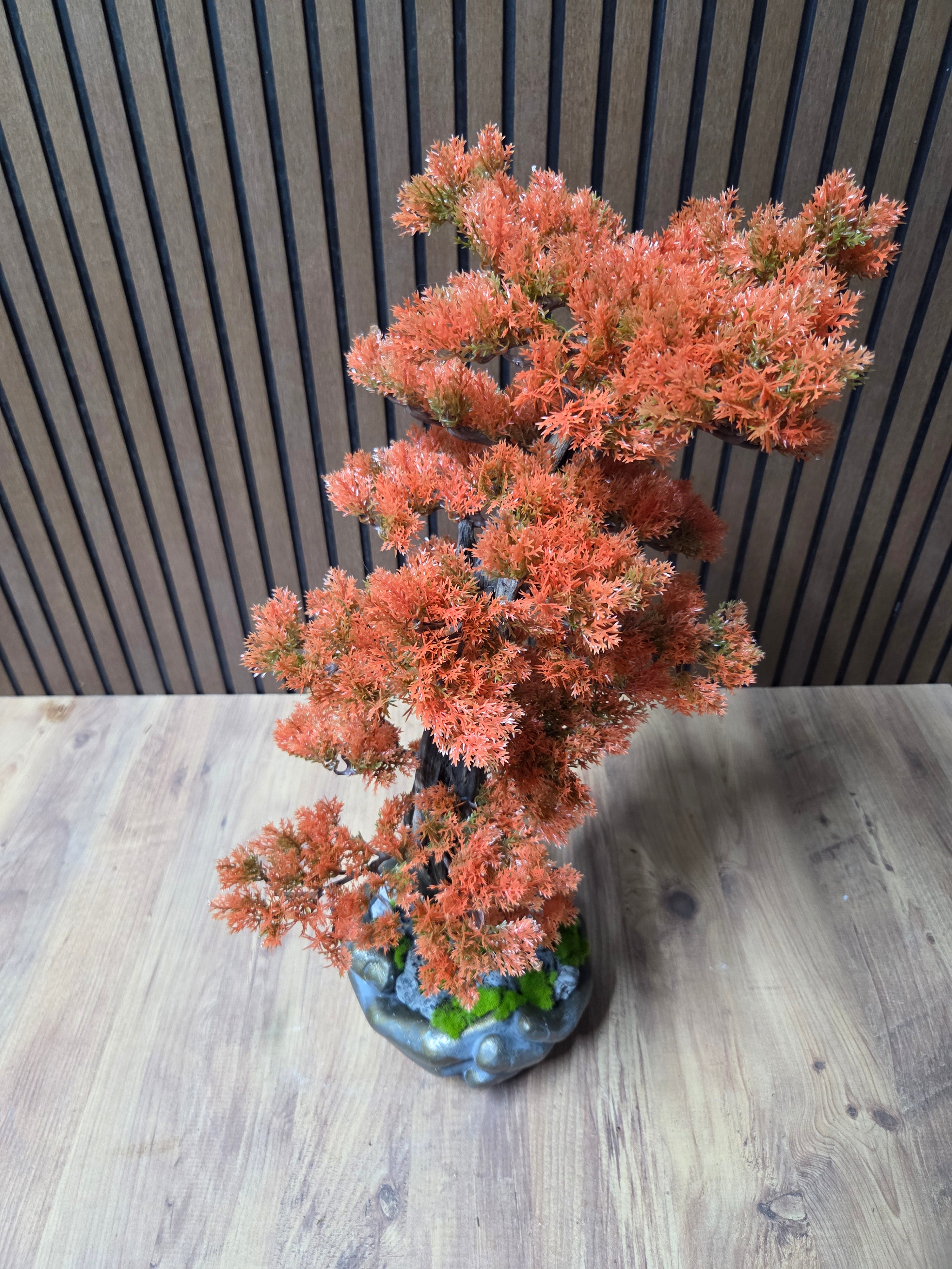 Autumn Grace Bonsai