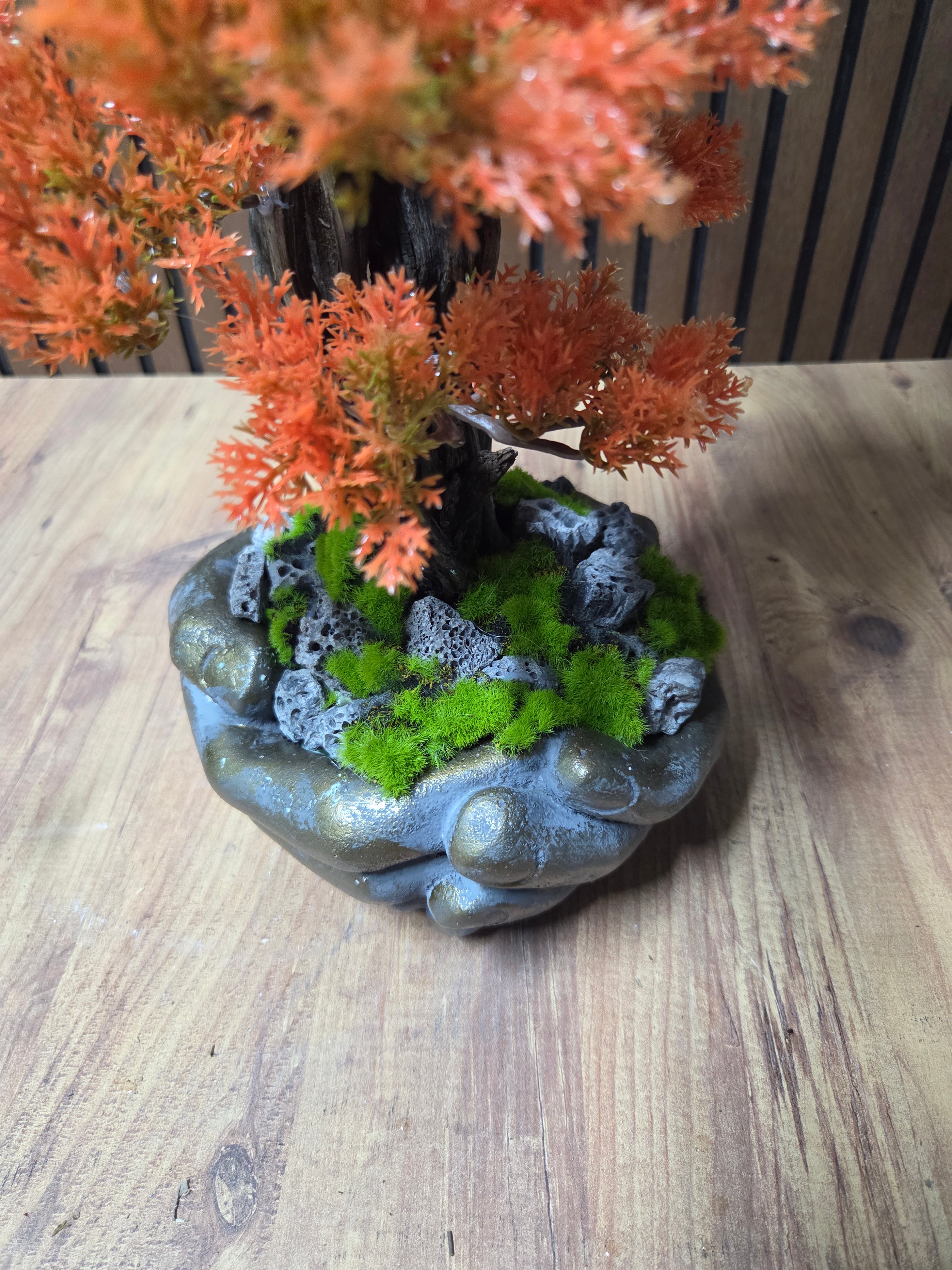 Autumn Grace Bonsai