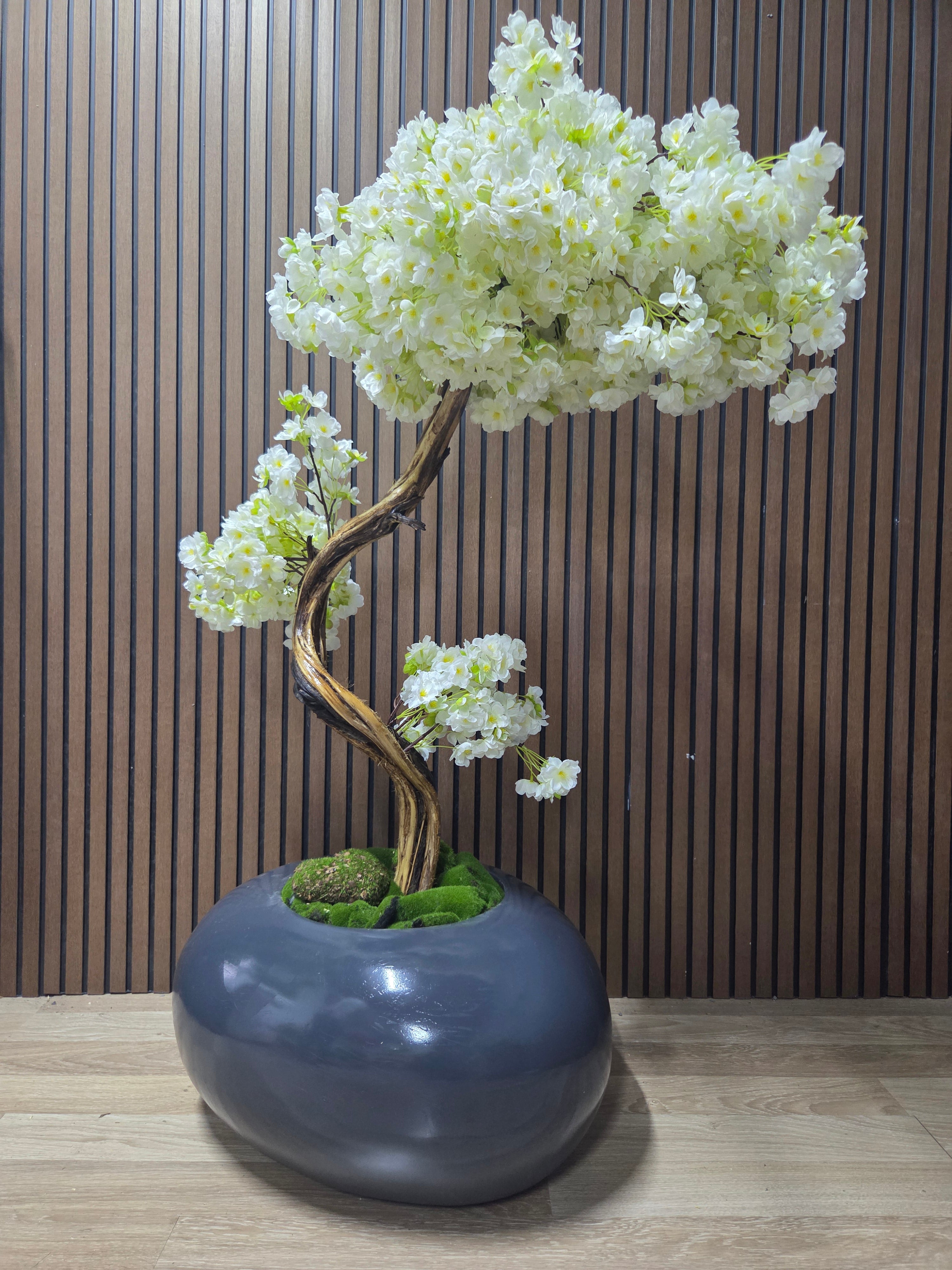 White Blossom Bonsai