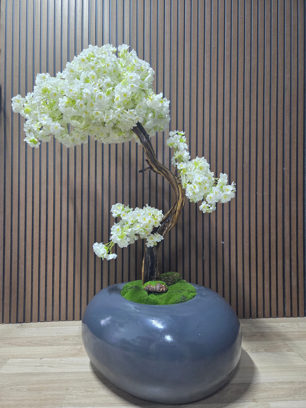 White Blossom Bonsai