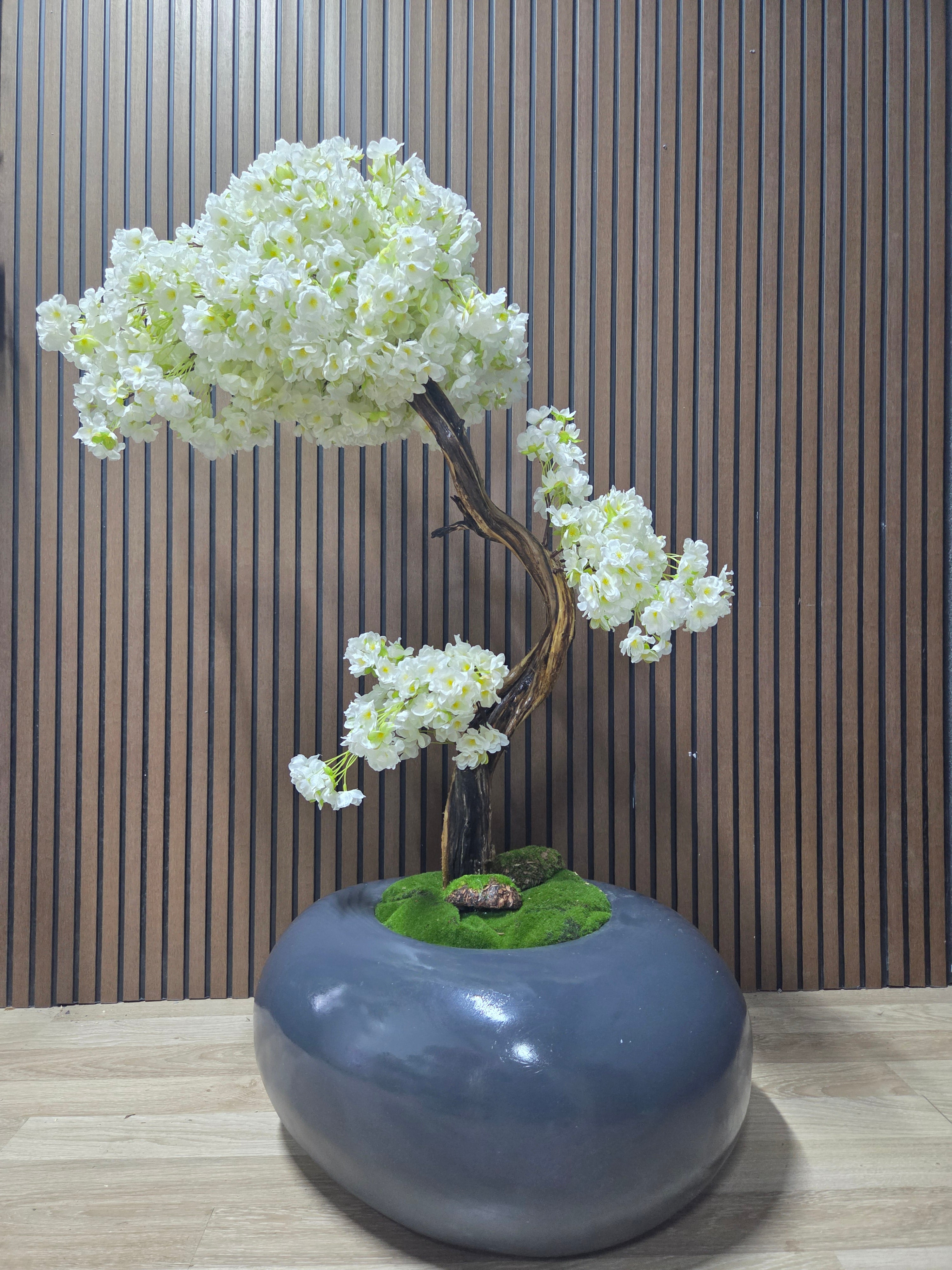 White Blossom Bonsai