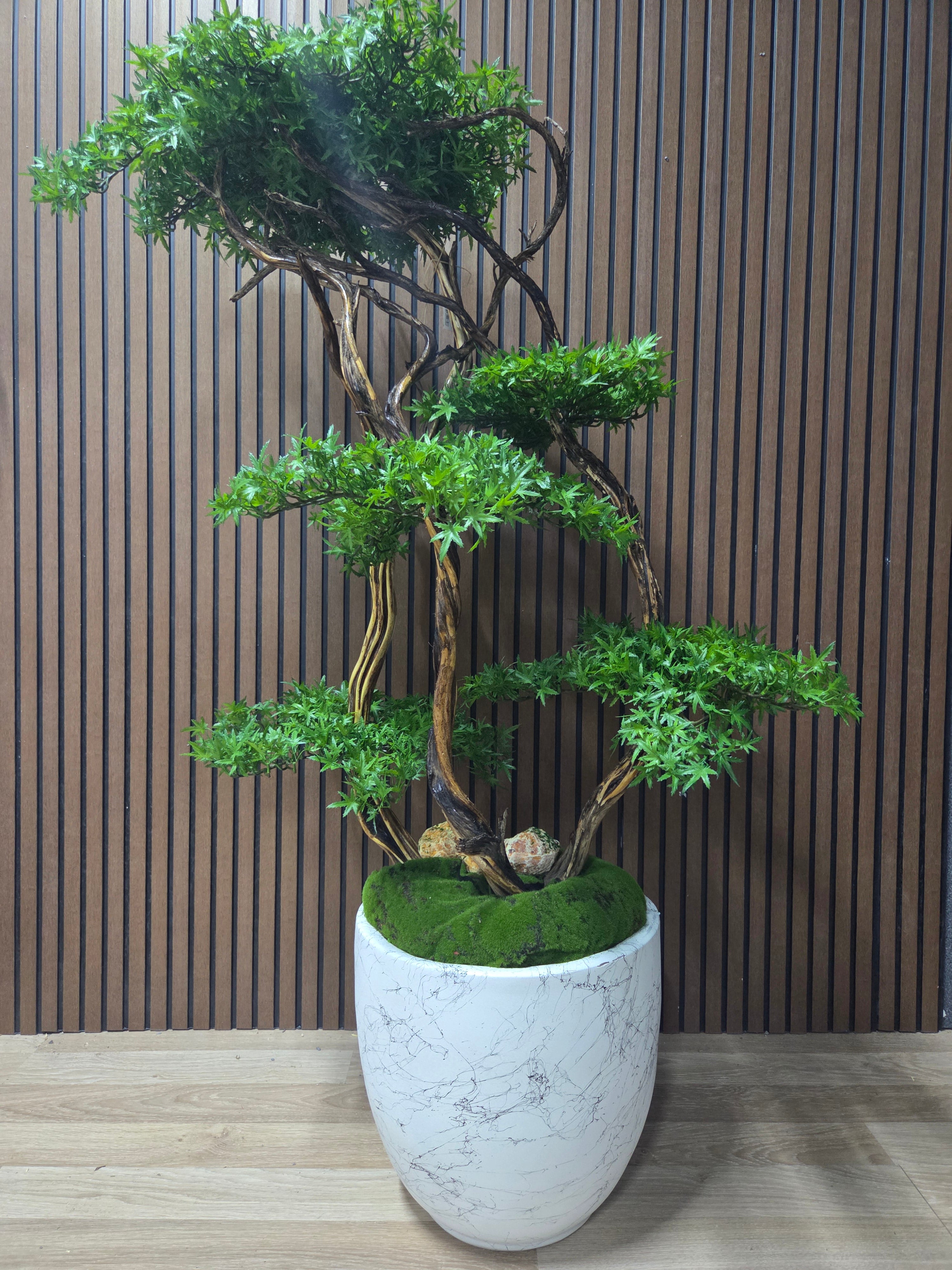 Natural Flow Bonsai
