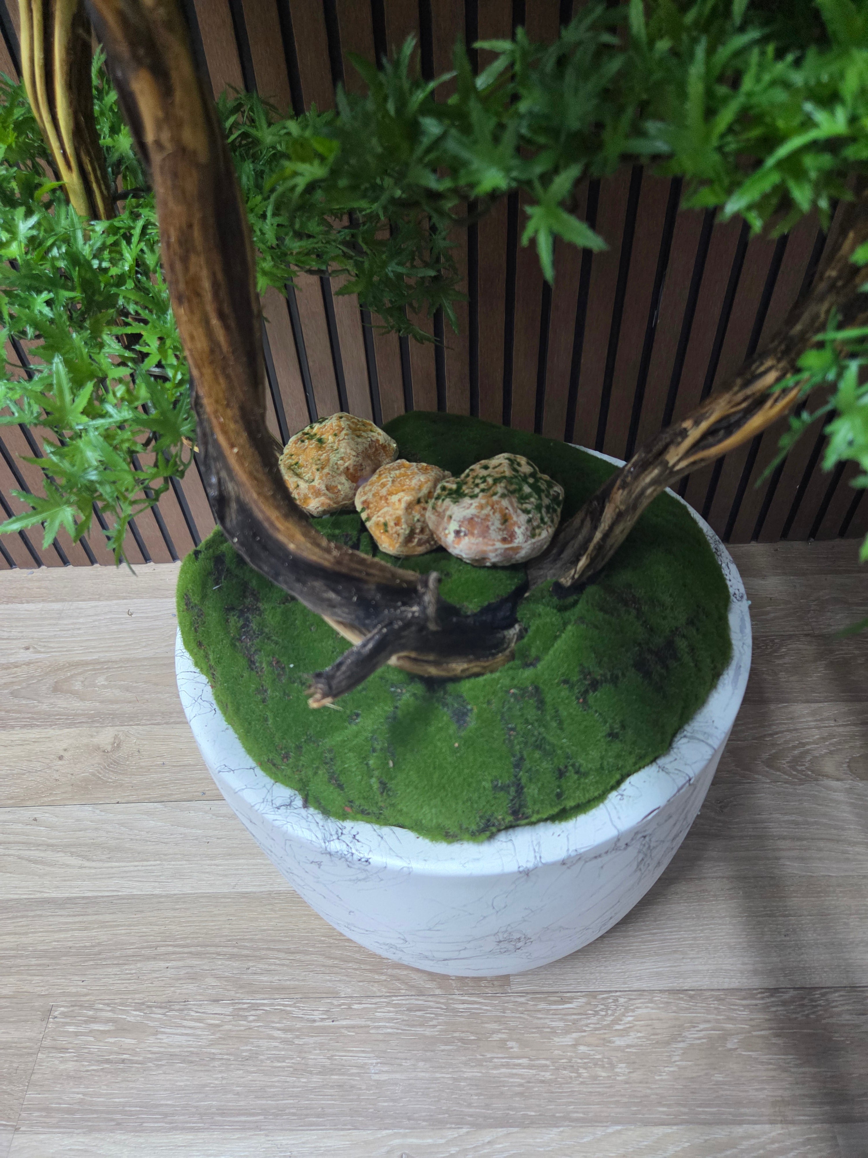 Natural Flow Bonsai
