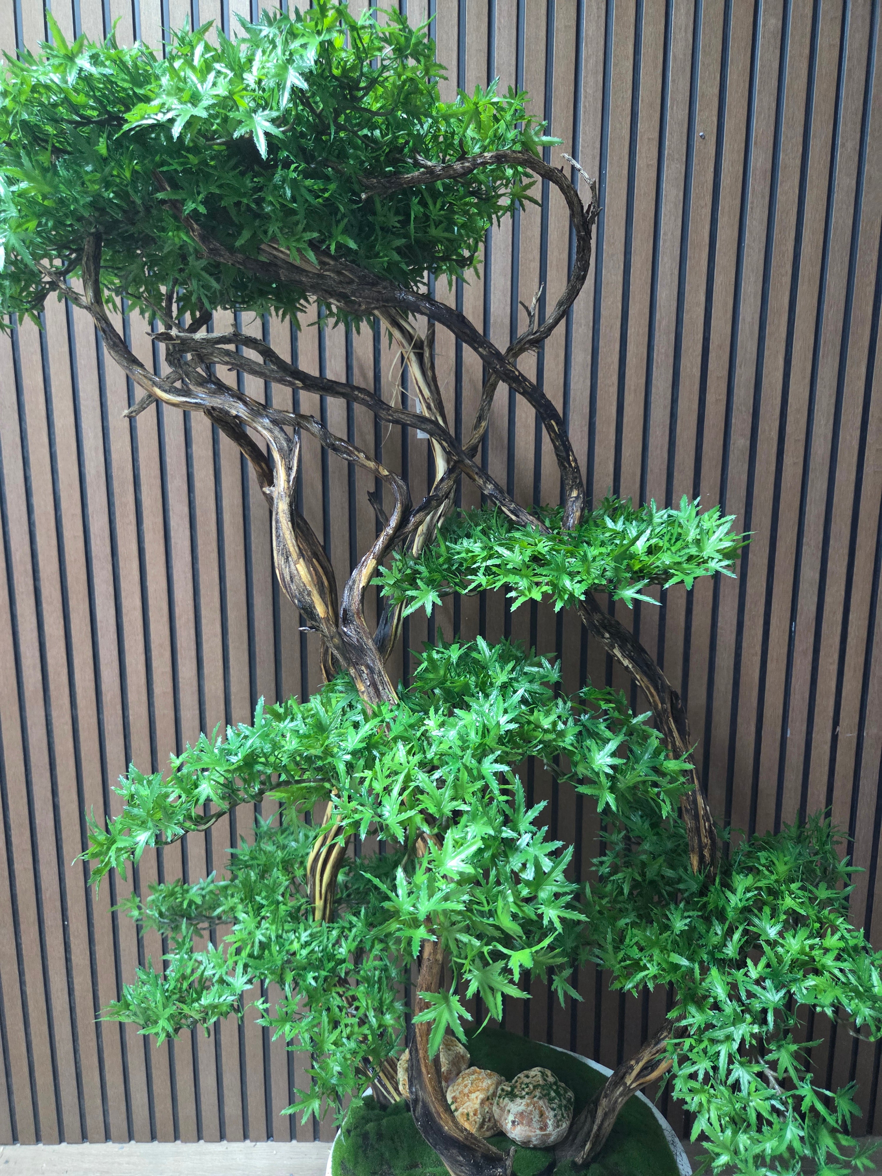 Natural Flow Bonsai