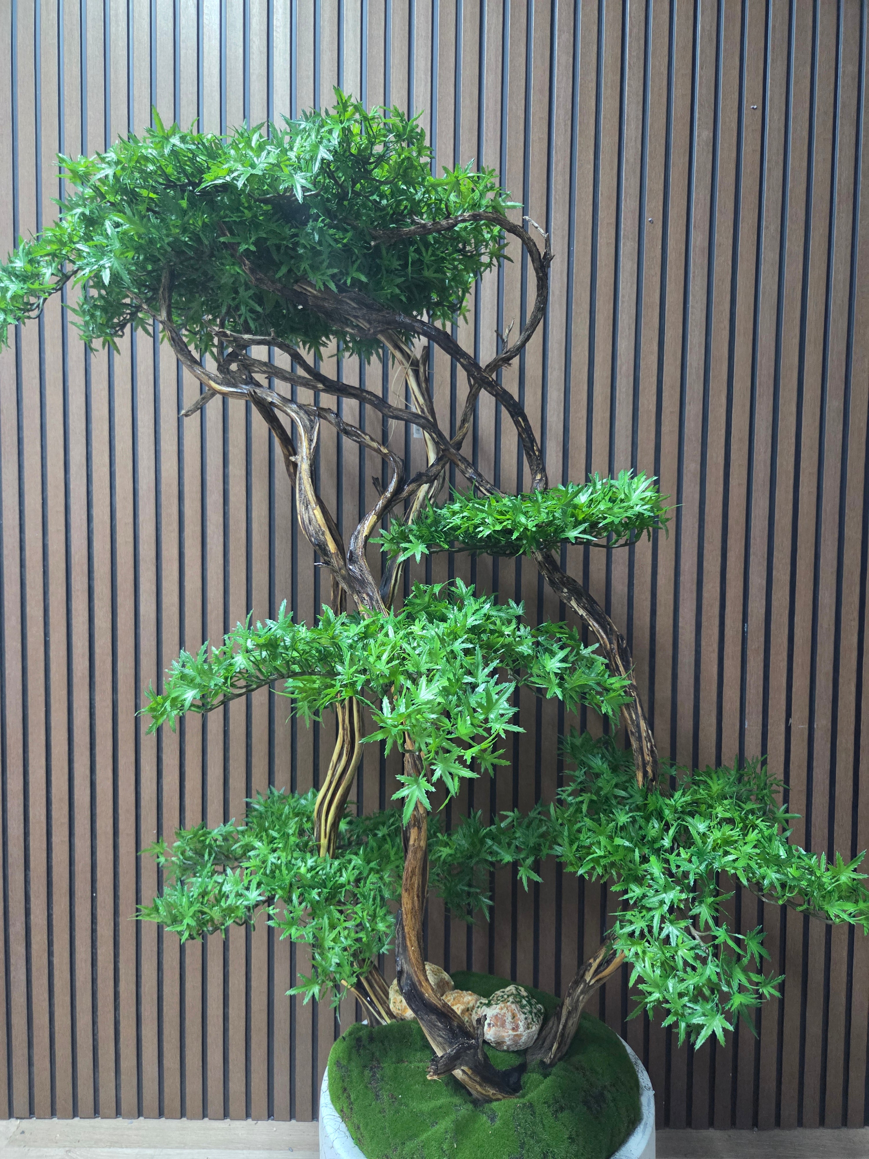 Natural Flow Bonsai