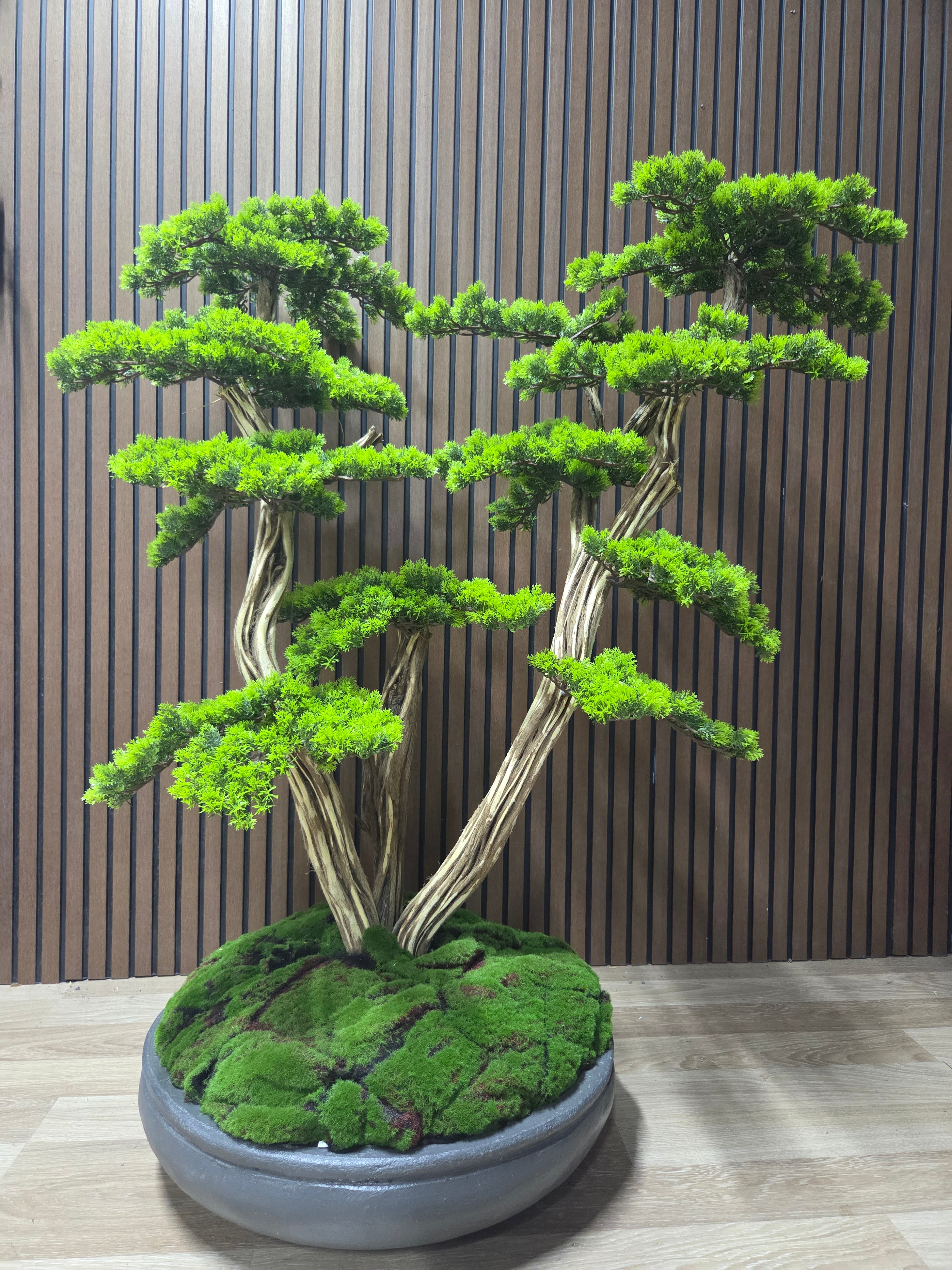 Nature Balance Bonsai