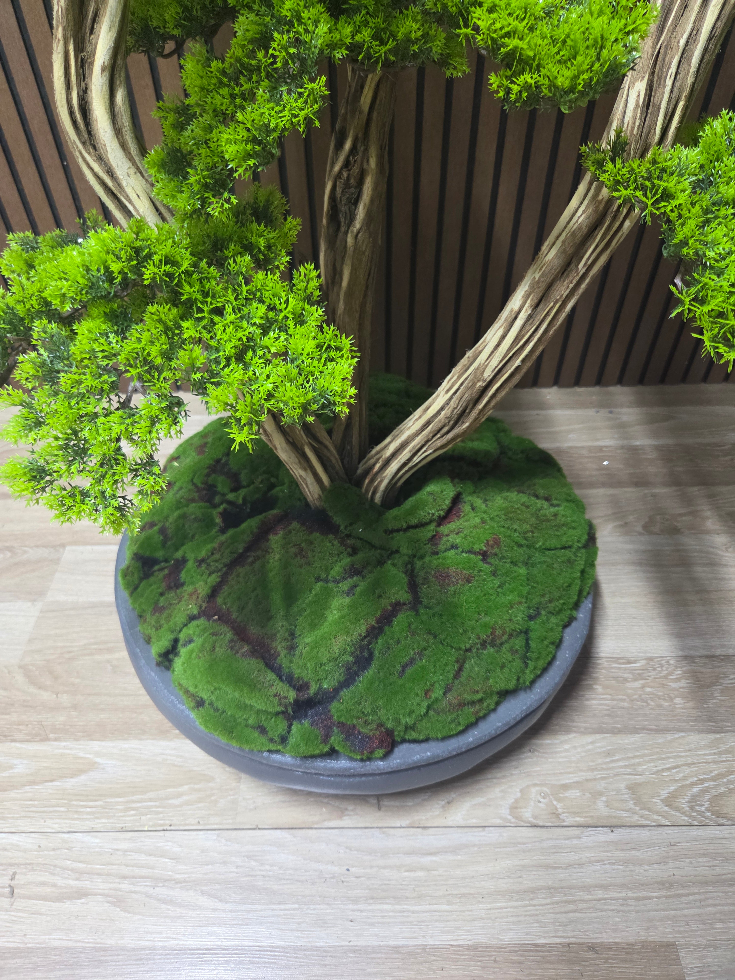Nature Balance Bonsai