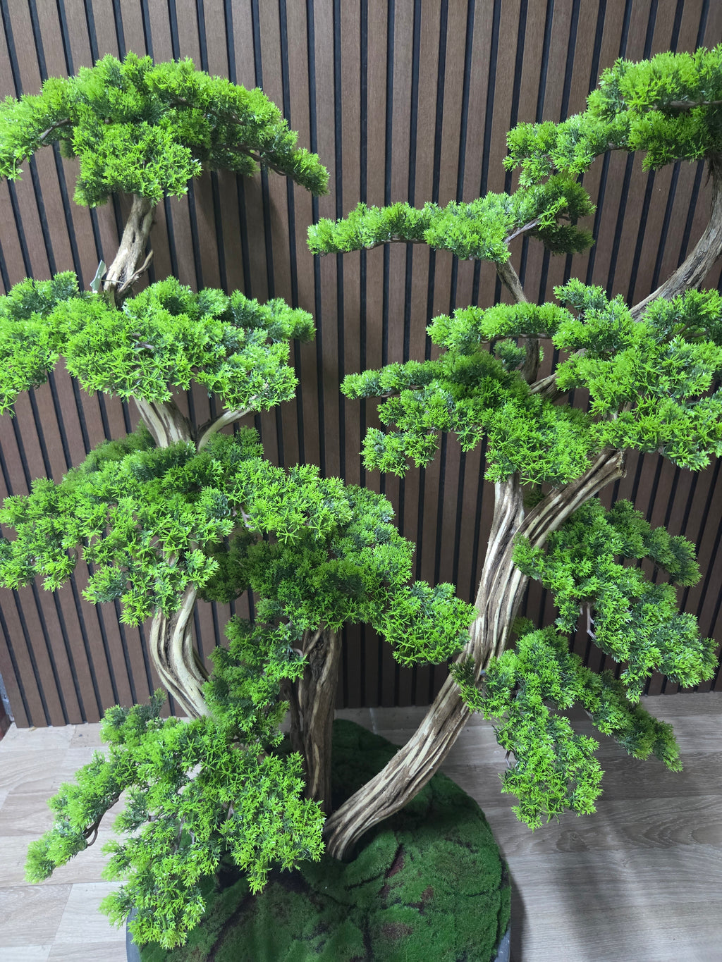 Nature Balance Bonsai